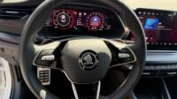 Octavia Limo 2.0TSI RS Facelift AHK Matrix ACC