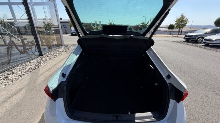 Octavia Limo 2.0TSI RS Facelift AHK Matrix ACC