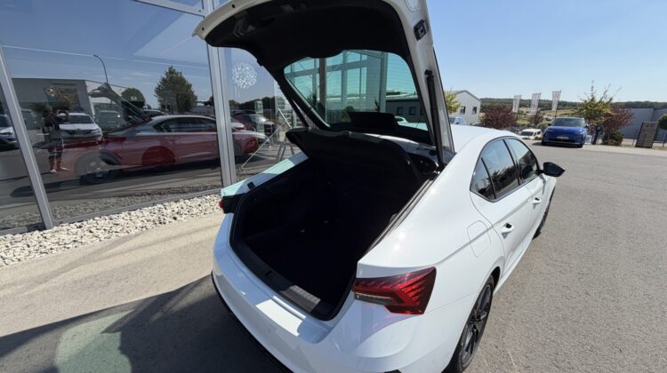 Octavia Limo 2.0TSI RS Facelift AHK Matrix ACC
