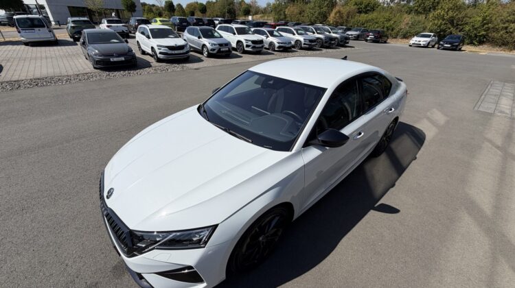 Octavia Limo 2.0TSI RS Facelift AHK Matrix ACC
