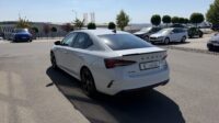 Octavia Limo 2.0TSI RS Facelift AHK Matrix ACC