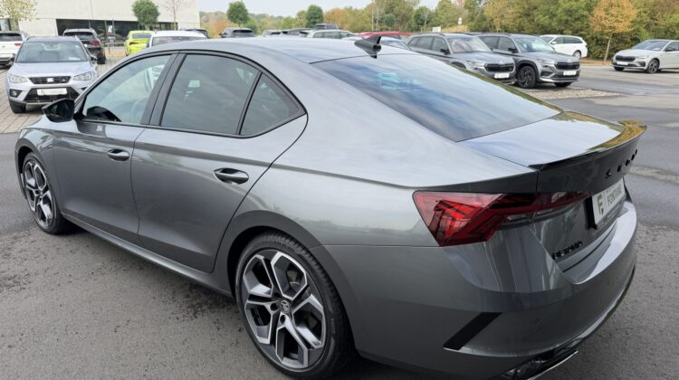Octavia Limo 2,0TDi RS 4×4 19″ AHK Leder Standheizung